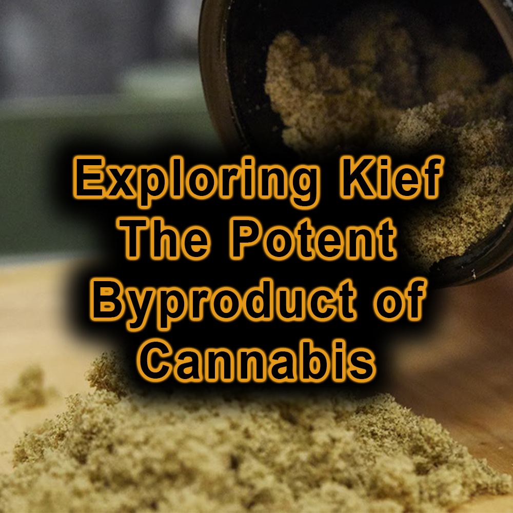 Exploring Kief: The Potent Byproduct of Cannabis