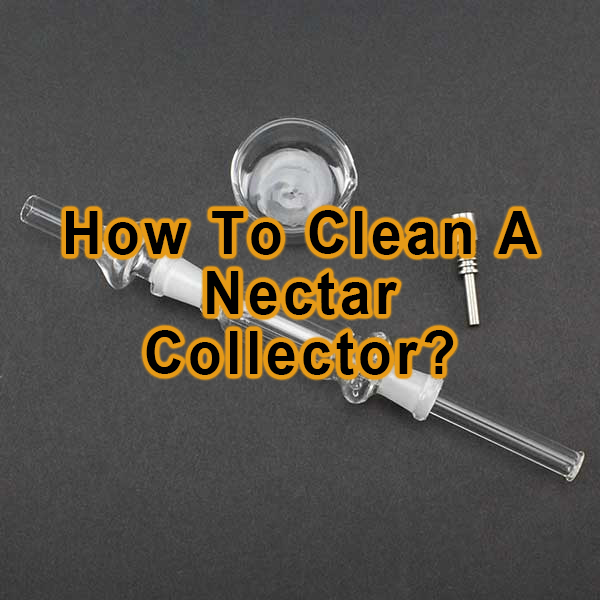 How To Clean A Nectar Collector?