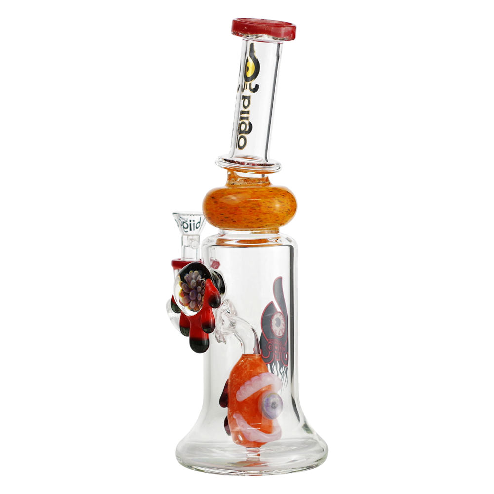 Biigo Glass 11"  Water Pipe With Monster Perc and Side Flower